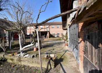 Terreno - Rustico via Riccardo Rocca, Isola d'Asti - foto 17