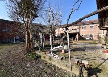 Terreno - Rustico via Riccardo Rocca, Isola d'Asti - foto 18