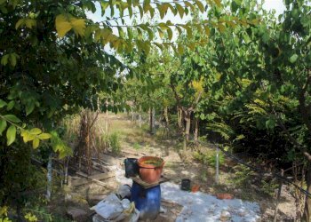 Terreno - Villa via Regio Tratturo, Nova Siri - foto 17