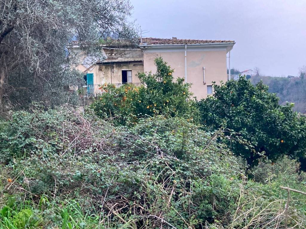 Terreno - Stabile - Palazzo via Provinciale Carrara-Avenza, 32, Carrara - foto 2