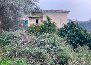 Terreno - Stabile - Palazzo via Provinciale Carrara-Avenza, 32, Carrara - foto 2