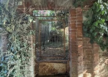 Casale Sciolze - photo 19