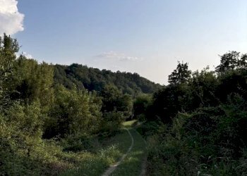 Casale Sciolze - photo 22