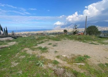 Terreno - Terreno agricolo via Enrico Berlinguer, Carini - foto 5