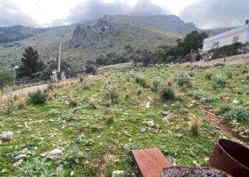 Terreno - Terreno agricolo via Enrico Berlinguer, Carini - foto 7