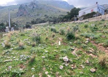 Terreno - Terreno agricolo via Enrico Berlinguer, Carini - foto 8