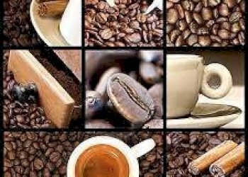 Altro - Bar - Tabacchi - Ricevitoria Torino - foto 2