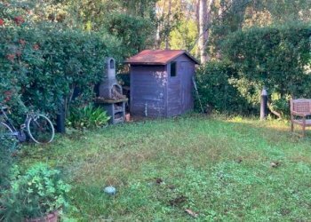 Giardino - Villa via dei Fichi, Massa - foto 17