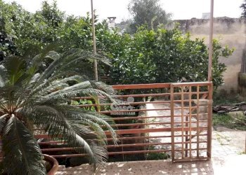 Casa indipendente Marsala - foto 6