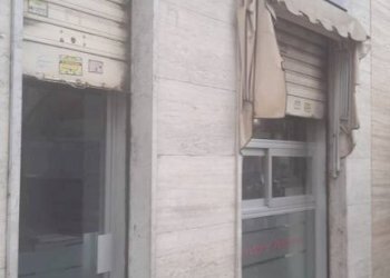 Zona - Shop via Nicomede Bianchi, 66, Torino - photo 2