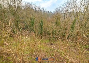 Rustic Cherasco - photo 12