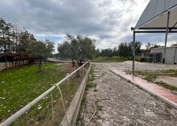 Terreno - Villa SS16bis, 3, Giovinazzo - foto 29