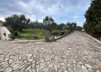 Terreno - Villa SS16bis, 3, Giovinazzo - foto 30