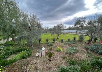 Terreno - Villa SS16bis, 3, Giovinazzo - foto 34