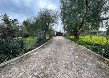 Giardino - Villa SS16bis, 3, Giovinazzo - foto 35