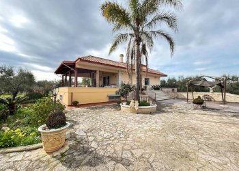 Giardino - Villa SS16bis, 3, Giovinazzo - foto 6