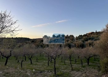 Terreno edificabile Noto - foto 7