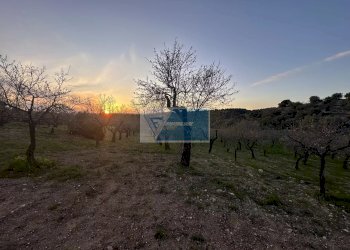 Terreno edificabile Noto - foto 4