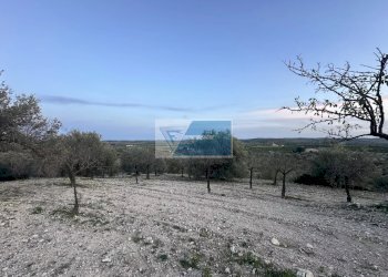 Terreno edificabile Noto - foto 6