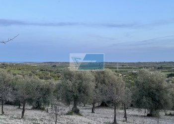 Terreno edificabile Noto - foto 9