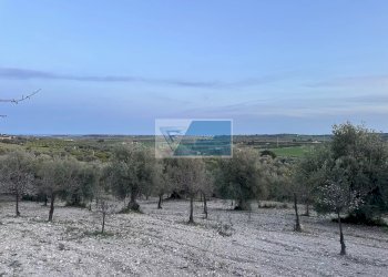 Terreno edificabile Noto - foto 10