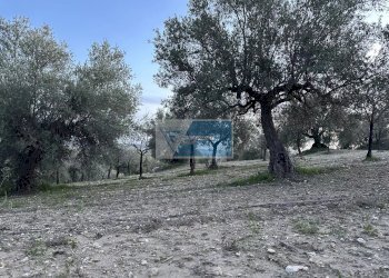 Terreno edificabile Noto - foto 11