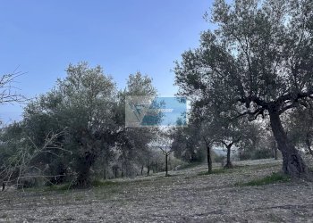 Terreno edificabile Noto - foto 12