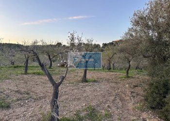 Terreno edificabile Noto - foto 15