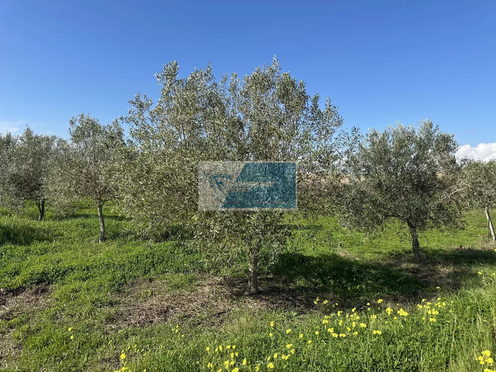 Terreno edificabile Noto - foto 3