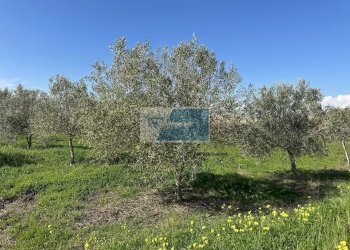 Terreno edificabile Noto - foto 3