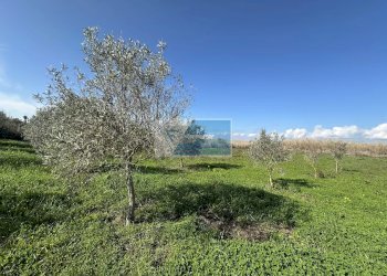 Terreno edificabile Noto - foto 5