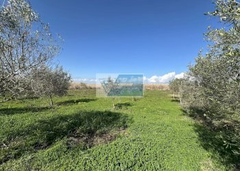 Terreno edificabile Noto - foto 6