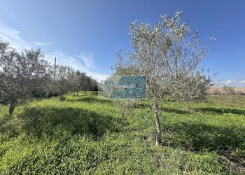 Terreno edificabile Noto - foto 7