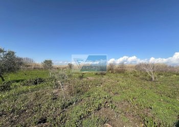 Terreno edificabile Noto - foto 8