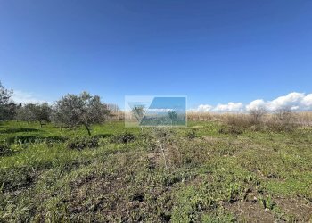 Terreno edificabile Noto - foto 9