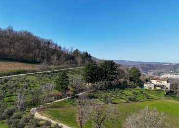 Villa Fontanelice - foto 4