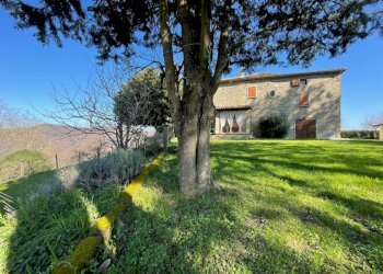 Villa Fontanelice - foto 43