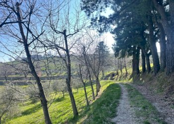 Villa Fontanelice - foto 47