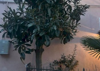 Bilocale Pinerolo - foto 13