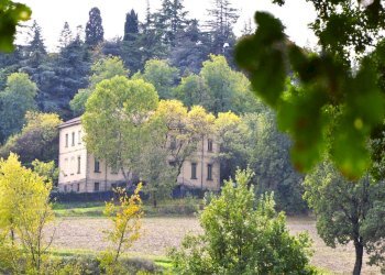 Rustic Albinea - photo 15