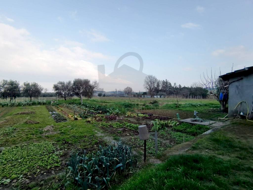 Terreno - Villa via Formignana, Rimini - foto 3