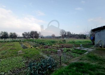 Terreno - Villa via Formignana, Rimini - foto 3