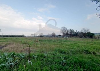 Terreno - Villa via Formignana, Rimini - foto 4