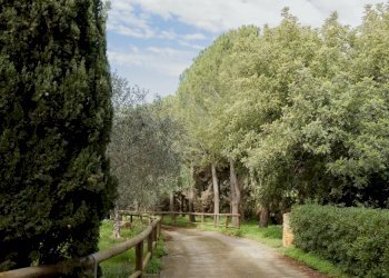 Villa Strada Statale, Canicattì - foto 33