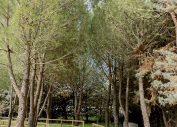 Villa Strada Statale, Canicattì - foto 36