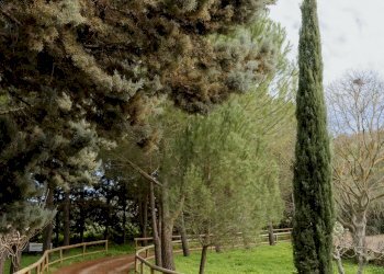 Villa Strada Statale, Canicattì - foto 42