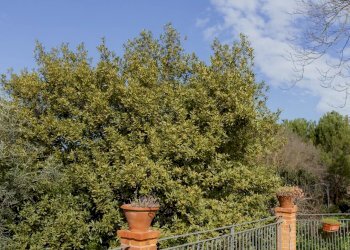 Villa Strada Statale, Canicattì - foto 52