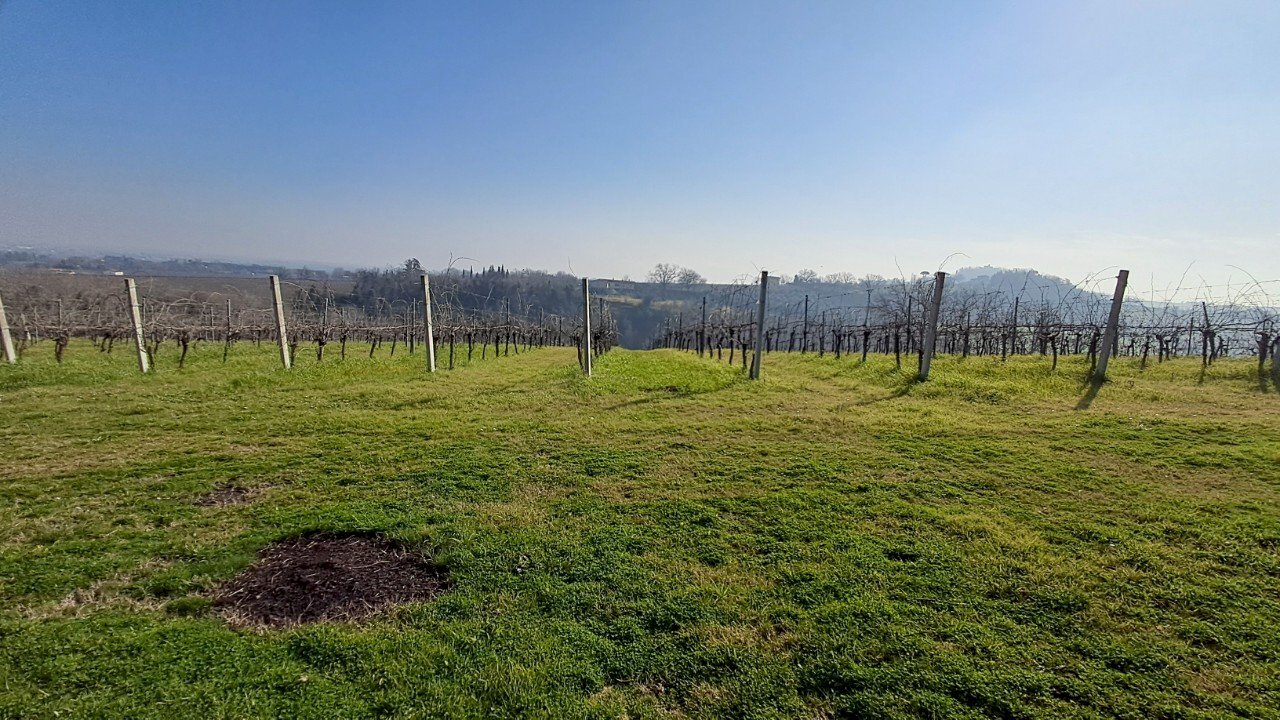 Terreno agricolo Forlì - foto 1