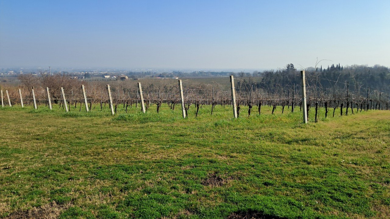 Terreno agricolo Forlì - foto 2