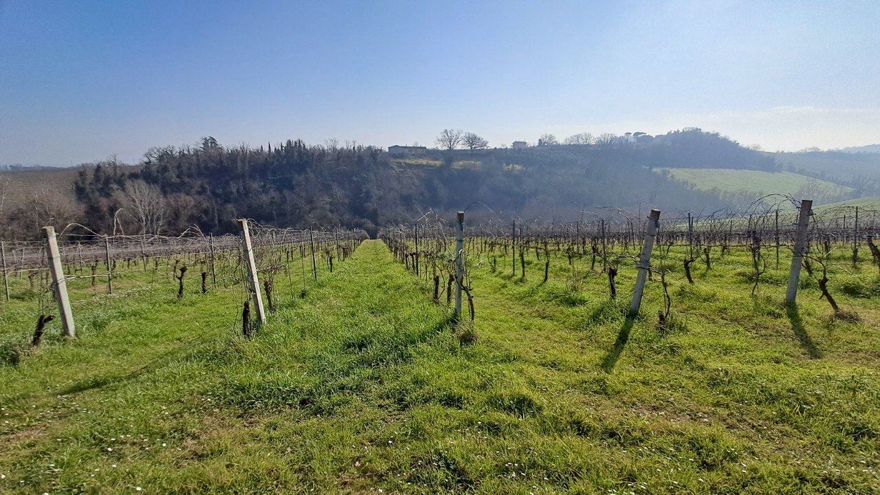 Terreno agricolo Forlì - foto 3